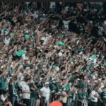 Torcida do Palmeiras