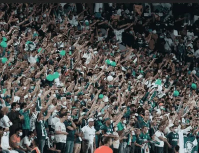 Torcida do Palmeiras